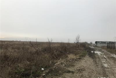 Teren de 10000 mp, în Butimanu - 2