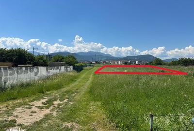 Spațiu comercial, în Tractorul - 3