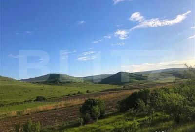Teren în Pata