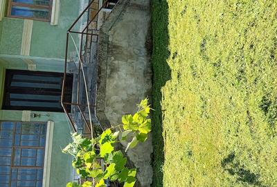 Casă cu 3 camere cu Teren 3600 Mp în Geoagiu-Băi - 3