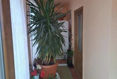 Casă cu 3 camere cu Teren 600 Mp în Vladimirescu - 1