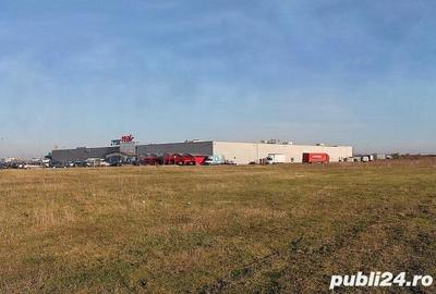 Teren de 10000 mp, în Est - 3