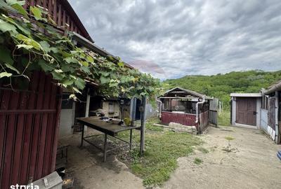 Casă cu 7 camere cu Teren 1026 Mp în Dârlos - 8