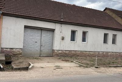 Casă cu 4 camere în Ioaniș