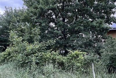Teren de 3800 mp, în Fălticeni - 1