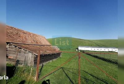 Casă cu 2 camere cu Teren 7000 Mp în Central - 11