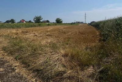 Teren de 420 mp, în Ipotești