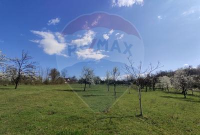 Teren Construcții intravilan de 1646 mp, în Cărbunari - 4