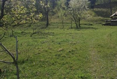 Spațiu comercial, în Valea Vișeului - 2