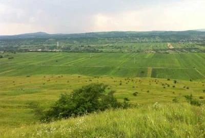Teren de 5000 mp, în Drajna