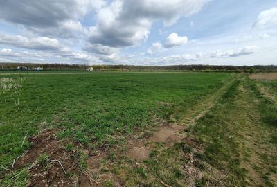Teren Construcții intravilan de 800 mp, în Dumbrăveni - 5