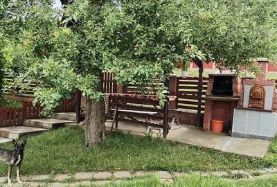 Casă cu 2 camere cu Teren 6000 Mp în Lechincioara - 6