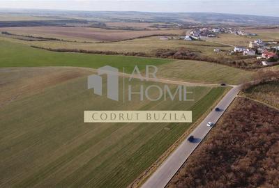 Teren Construcții intravilan de 2500 mp, în Chițorani - 1