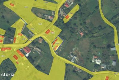 Casă cu 4 camere cu Teren 610 Mp în Gura Văii