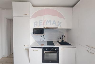 Apartament cu 2 camere semidecomandat, mobilat în Parcul Carol - 5
