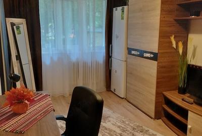Garsonieră decomandată în Zorilor