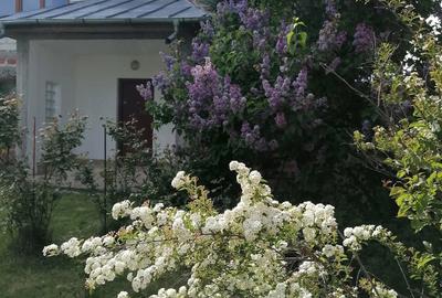 Casă cu 4 camere cu Teren 1758 Mp în Ștefănești - 2