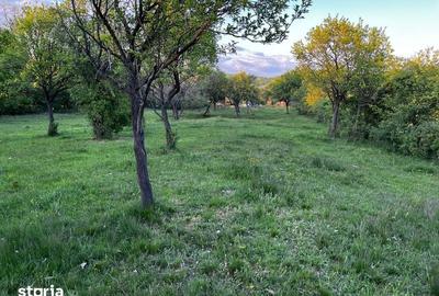 Teren de 5600 mp, în Pianu - 2