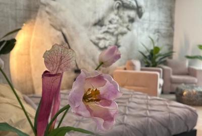Apartament în Central