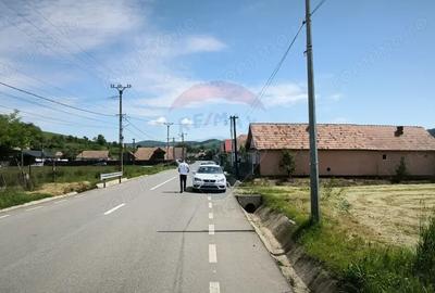Teren de 15360 mp, în Blăjel - 6