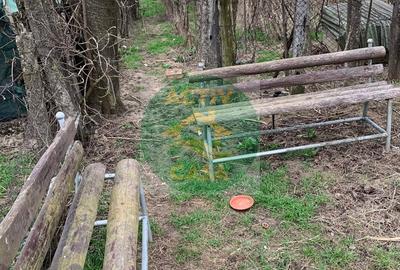 Casă cu 3 camere cu Teren 1470 Mp în Cotu Vameș - 9