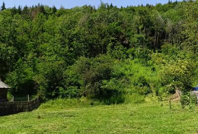 Teren de 4000 mp, în Aninoasa - 7