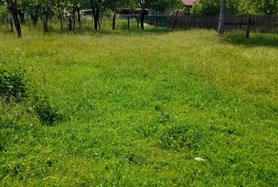 Casă cu 4 camere în Stâlpeni
