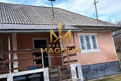 Casă cu 2 camere în Berința