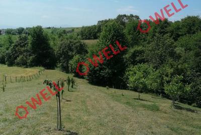 Teren agricol intravilan de 1523 mp, în Calnic - 5