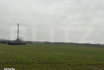 Teren de 10000 mp, în Comișani - 3