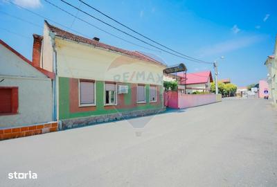Casă cu 3 camere cu Teren 250 Mp în Lotus - 6