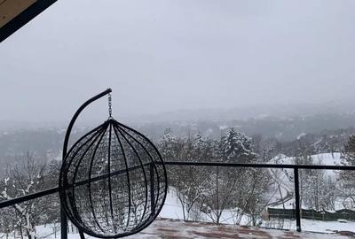 Casă cu 2 camere în Nistorești - 2