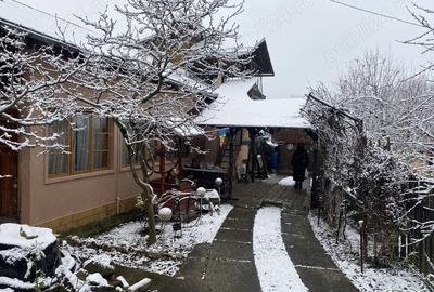 Casă cu Teren 480 Mp în Central - 3