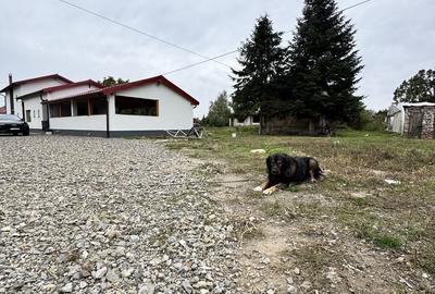 Casă cu 4 camere în Petin - 4