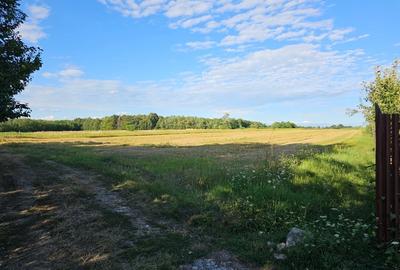 Teren de 11000 mp, în Lăceni - 3