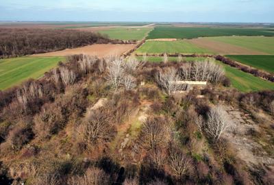 Teren Construcții intravilan de 70291 mp, în Micșunești-Moară - 13