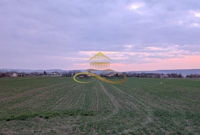 Teren de 7774 mp, în Hemeiuș - 7