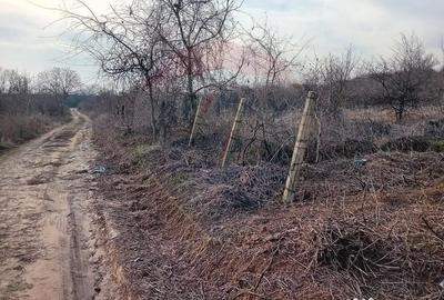Teren de 2301 mp, în Cârcea