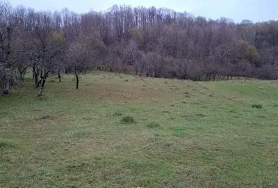 Teren în Valea - 1