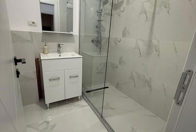 Apartament cu 2 camere decomandat în Beba Veche - 4