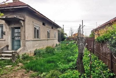 Casă cu 3 camere cu Teren 1500 Mp în Central - 3