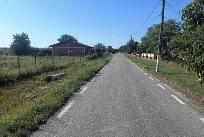 Teren de 1000 mp, în Bazoș - 3