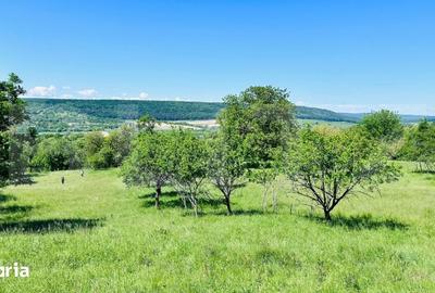 Teren de 4879 mp, în Dobrovăț - 5