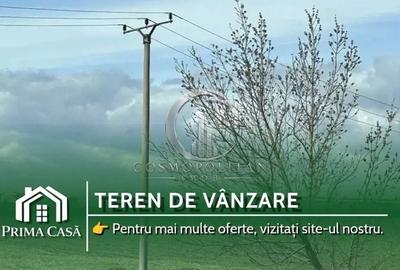 Teren intravilan de 20000 mp, în Est