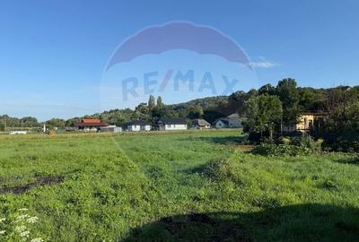 Teren Construcții intravilan de 600 mp, în Ocoliș - 1