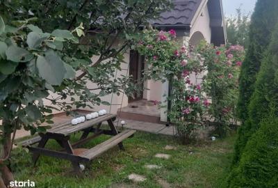 Casă cu 4 camere în Breazu - 16