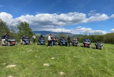 Teren de 10000 mp, în Borlova - 1