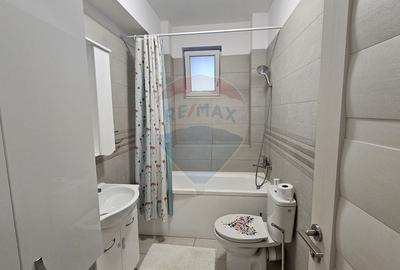 Apartament cu 2 camere decomandat, mobilat în Sfântu Ilie - 20
