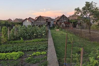 Casă cu 2 camere cu Teren 600 Mp în Central
