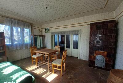 Casă cu Teren 6500 Mp în Mireșu Mare - 2